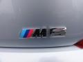 2009 Silverstone Silver Metallic BMW M6 Coupe  photo #24
