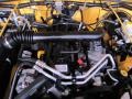 2004 Solar Yellow Jeep Wrangler Sport 4x4  photo #23