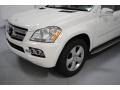 Arctic White - GL 450 4Matic Photo No. 4