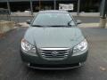 Natural Khaki - Elantra GLS Photo No. 10