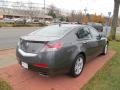 Polished Metal Metallic - TL 3.5 Photo No. 5