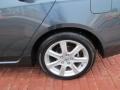 Carbon Gray Pearl - TSX Sedan Photo No. 9