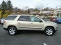 Gold Mist 2008 Saturn Outlook XE AWD Exterior