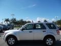 2010 Ingot Silver Metallic Ford Escape XLS  photo #12