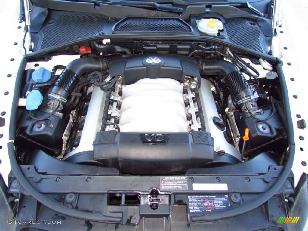 2005 Volkswagen Phaeton V8 4Motion Sedan Engine Photos