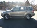 2009 Topaz Gold Metallic Subaru Forester 2.5 X  photo #2