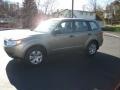 2009 Topaz Gold Metallic Subaru Forester 2.5 X  photo #13