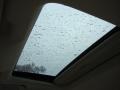 Winter Frost Pearl - Altima 2.5 SL Photo No. 15