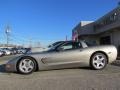 1999 Light Pewter Metallic Chevrolet Corvette Coupe  photo #4