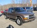 Sandalwood Metallic - S10 LS Extended Cab 4x4 Photo No. 5