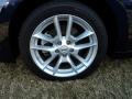 Navy Blue - Maxima 3.5 SV Photo No. 22