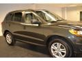 2010 Black Forest Green Metallic Hyundai Santa Fe GLS  photo #9