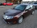Cinnamon Metallic - Fusion S Photo No. 8