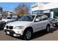 Alpine White - X5 3.0si Photo No. 1