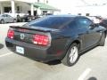 2009 Alloy Metallic Ford Mustang V6 Premium Coupe  photo #11