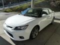 Super White - tC  Photo No. 5