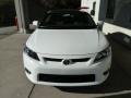 Super White - tC  Photo No. 6