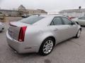Light Platinum - CTS 4 AWD Sedan Photo No. 8