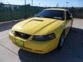 2001 Zinc Yellow Metallic Ford Mustang V6 Coupe  photo #7