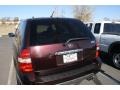 2002 Deep Mahogany Red Pearl Acura MDX   photo #18