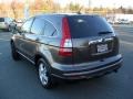 2010 Urban Titanium Metallic Honda CR-V EX-L  photo #2