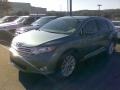 Aloe Green Metallic - Venza I4 Photo No. 2
