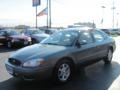 Light Tundra Metallic - Taurus SEL Photo No. 18