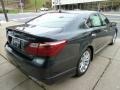 Smoky Granite Mica - LS 460 AWD Photo No. 4