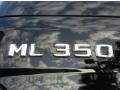 Black - ML 350 4Matic Photo No. 9
