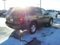 Taupe Gray Metallic - Tahoe LS 4x4 Photo No. 24