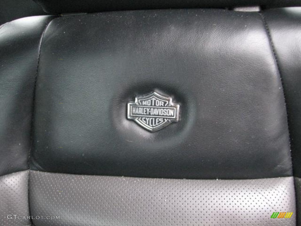 2002 Ford F150 Harley-Davidson SuperCrew Marks and Logos Photo #56769867