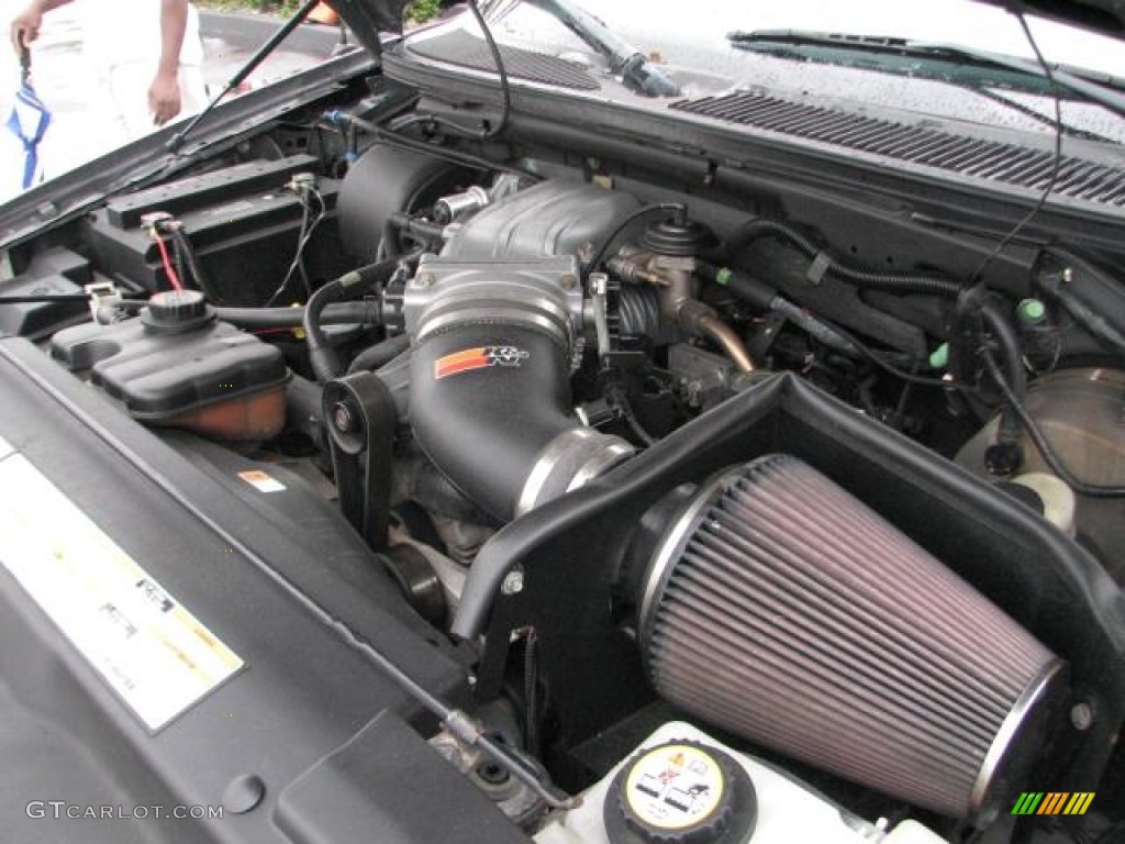 2002 Ford F150 Harley-Davidson SuperCrew 5.4 Liter SVT Supercharged SOHC 16-Valve Triton V8 Engine Photo #56769920