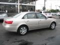 Camel Pearl - Sonata GLS Photo No. 10