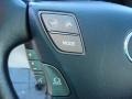 Mercury Silver Metallic - LS 460 Photo No. 29