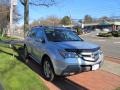 Billet Silver Metallic - MDX Technology Photo No. 3