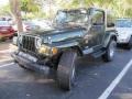 1998 Moss Green Pearl Jeep Wrangler Sahara 4x4  photo #4