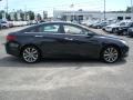 2011 Pacific Blue Pearl Hyundai Sonata SE  photo #4