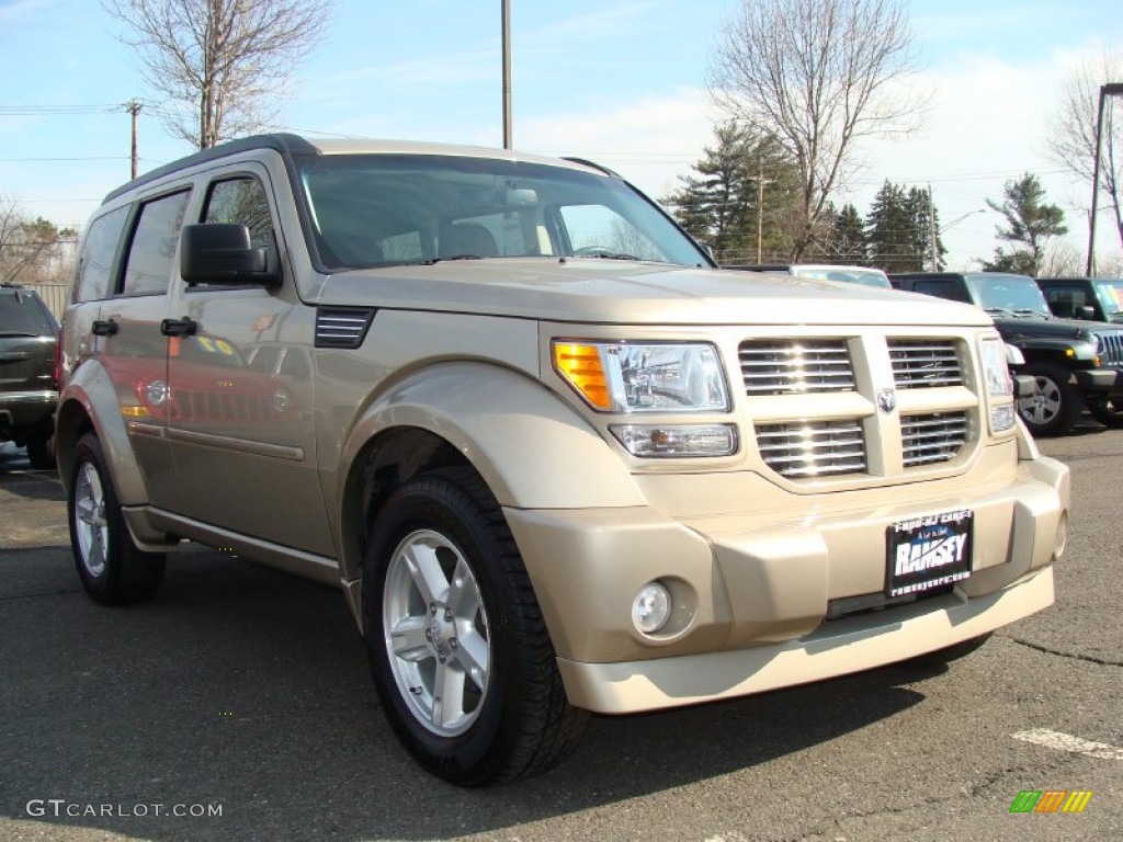 2010 Nitro SXT 4x4 - Light Sandstone Metallic / Pastel Pebble Beige photo #7