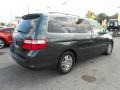 2006 Sage Brush Pearl Honda Odyssey EX  photo #6