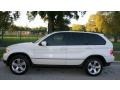 Alpine White - X5 4.4i Photo No. 3