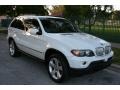 2005 Alpine White BMW X5 4.4i  photo #17