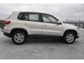 White Gold Metallic - Tiguan S Photo No. 7