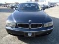 2002 Toledo Blue Metallic BMW 7 Series 745Li Sedan  photo #3