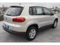 White Gold Metallic - Tiguan S Photo No. 6