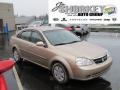 Champagne Beige Metallic - Forenza  Photo No. 1