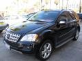 Black - ML 350 4Matic Photo No. 8