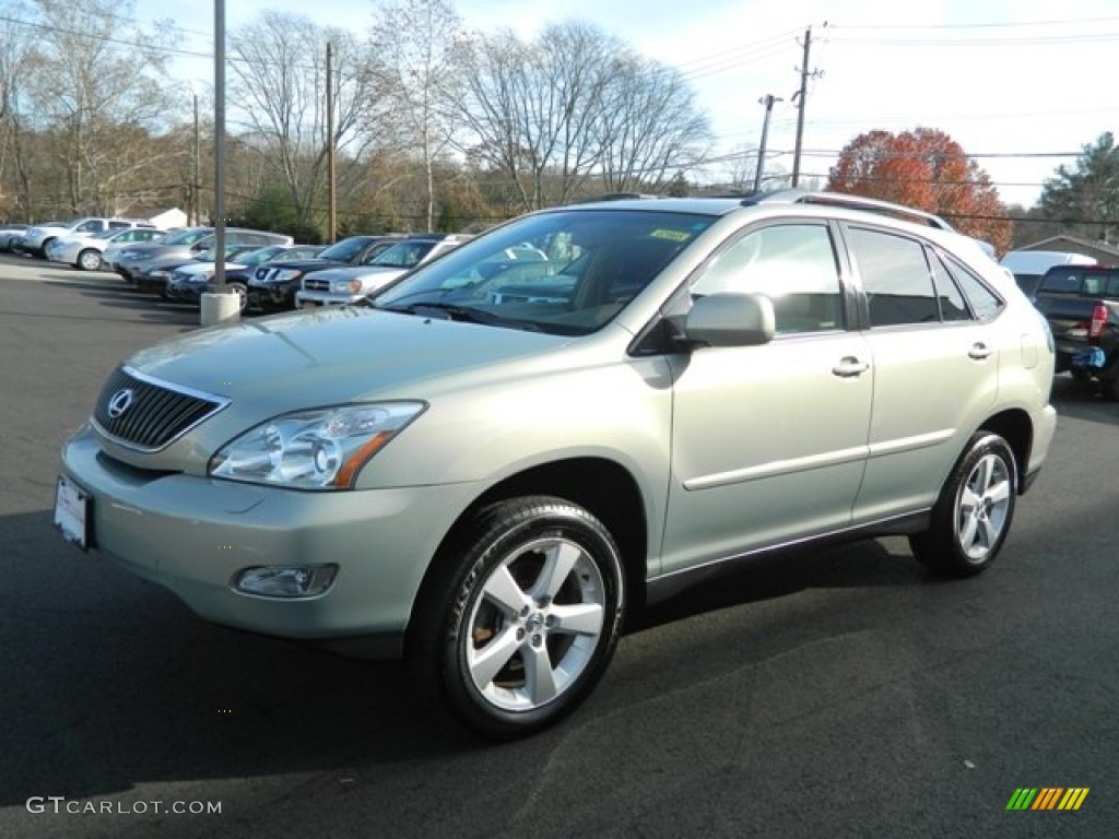 2004 RX 330 AWD - Bamboo Pearl / Ivory photo #1