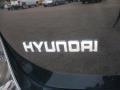 2010 Phantom Black Metallic Hyundai Santa Fe SE 4WD  photo #12