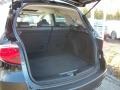 Crystal Black Pearl - RDX SH-AWD Technology Photo No. 9