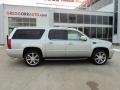 Radiant Silver Metallic - Escalade ESV Luxury Photo No. 6